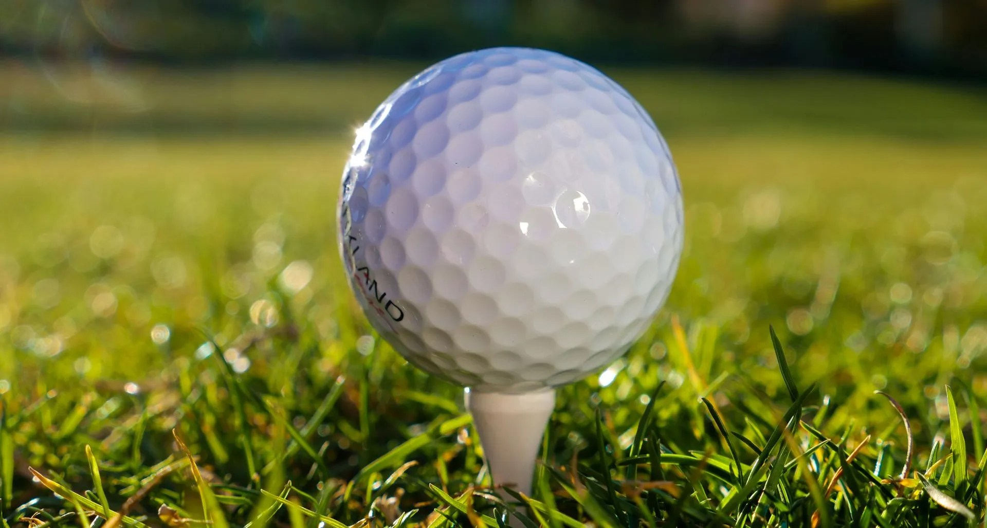 A golf ball on a tee in sunlit grass